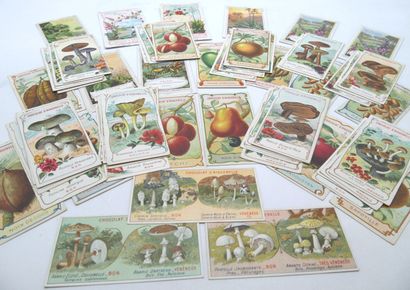 58 Chromos. La Nature.
Chocolaterie d'Aiguebelle.
2-Le...