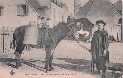 10 CARTES POSTALES METIERS : Sélection Province....