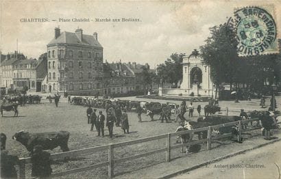 6 CARTES POSTALES LES MARCHES : Sélection....