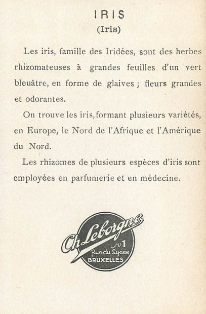 78 CHROMOS, IMAGES, REPRODUCTIONS & DIVERS...
