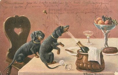 36 CARTES POSTALES LES ANIMAUX : Réels, Fantaisies...