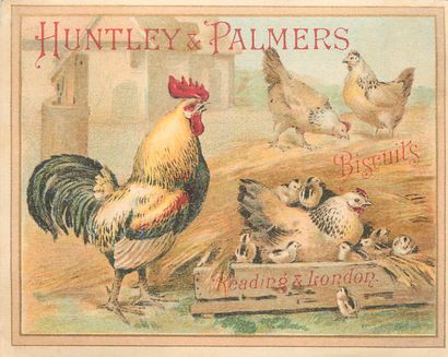 55 CHROMOS : Huntley & Palmers Biscuits....
