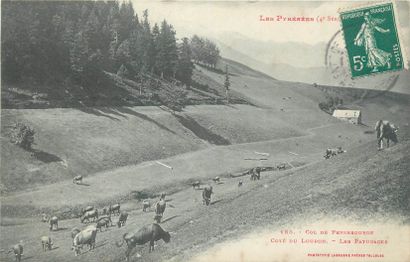 36 CARTES POSTALES HAUTES PYRENEES : Villes,...