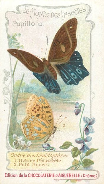 57 CHROMOS : Chocolaterie D'Aiguebelle. «...