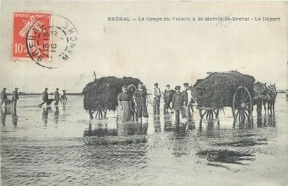 6 CARTES POSTALES TRAVAIL A LA MER : Petite...
