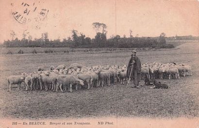 7 CARTES POSTALES EN BEAUCE : Éditeur ND...