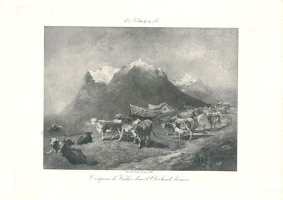 Suisse. 40 Lithographies, Reproductions et...