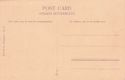 24 CARTES POSTALES ASIE : 5cp-Celyon, 3cp-Chine,...