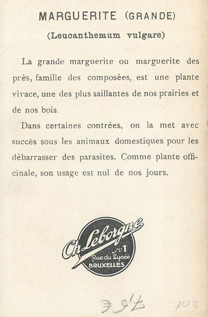 78 CHROMOS, IMAGES, REPRODUCTIONS & DIVERS...