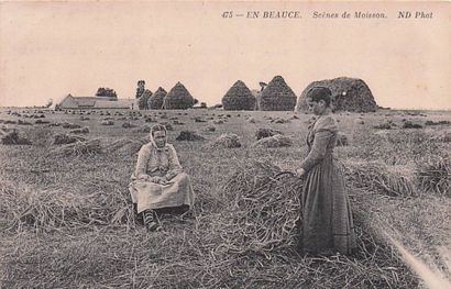 7 CARTES POSTALES EN BEAUCE : Éditeur ND...