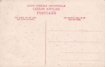 24 CARTES POSTALES ASIE : 5cp-Celyon, 3cp-Chine,...
