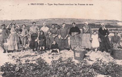 10 CARTES POSTALES METIERS : Sélection Province....