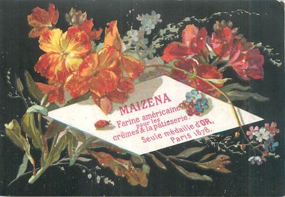 131 CHROMOS & CARTES POSTALES France : Expositions...