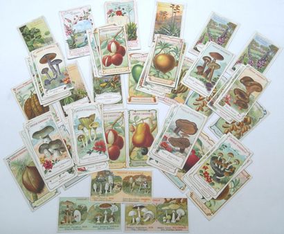 58 Chromos. La Nature.
Chocolaterie d'Aiguebelle.
2-Le...