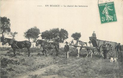 21 CARTES POSTALES SCENES & TYPES : Divers....