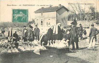 6 CARTES POSTALES LES MARCHES : Sélection....