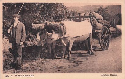 10 CARTES POSTALES METIERS : Sélection Province....