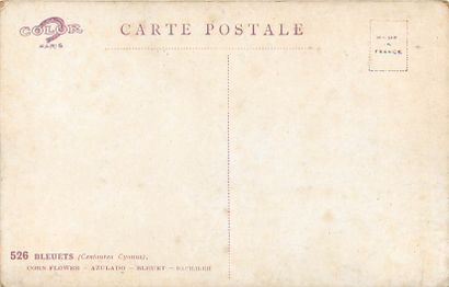 102 CARTES POSTALES & IMAGES FANTAISIES :...