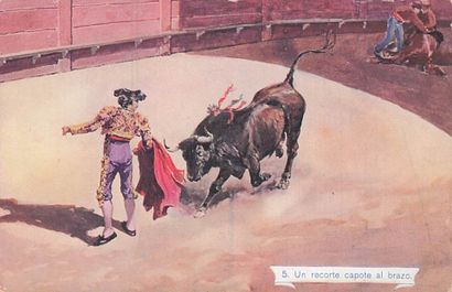 73 CARTES POSTALES EUROPE : 20cp/cpsm-Divers...