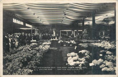 75 CARTES POSTALES BELGIQUE : Expositions...
