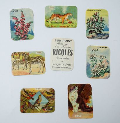 44 CHROMOS ET DOCUMENTS RICQLES : Carnet-Souvenir...