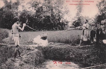 11 CARTES POSTALES INDOCHINE : Métiers autour...