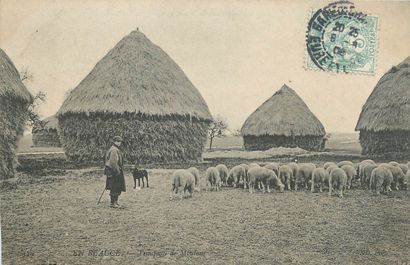 21 CARTES POSTALES SCENES & TYPES : Divers....