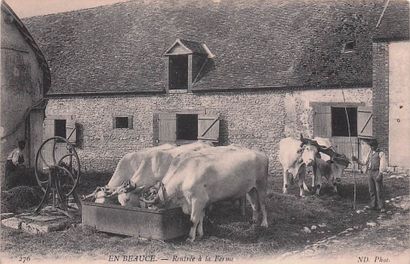 7 CARTES POSTALES EN BEAUCE : Éditeur ND...