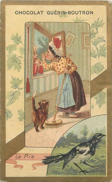 57 Chromos - Chocolat Guérin-Boutron.
Bordure...