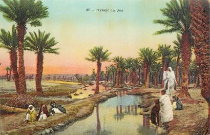 67 CARTES POSTALES AFRIQUE DU NORD : Algérie-22cp,...