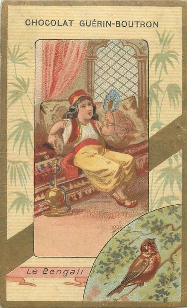 57 Chromos - Chocolat Guérin-Boutron.
Bordure...