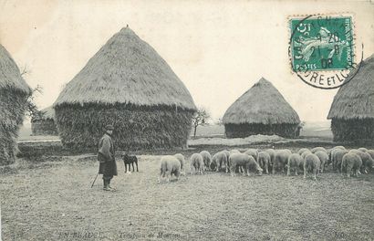 21 CARTES POSTALES SCENES & TYPES : Divers....