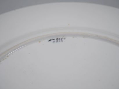 ROYAL DOULTON - ENGLAND 
Suite de 11 assiettes...
