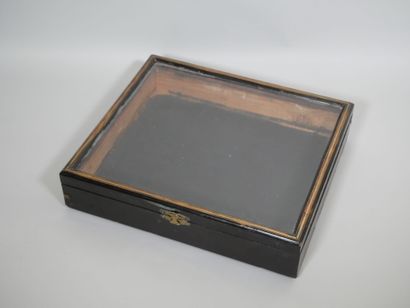 Grande vitrine de présentation à poser de...