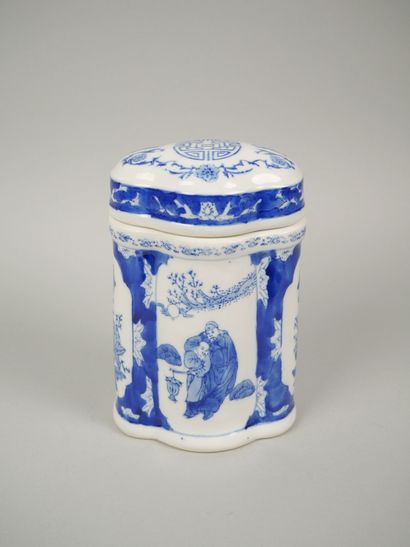 Porcelain tea pot with blue-white decoration...