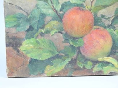 Modern School
Apples
Oil on canvas signed...