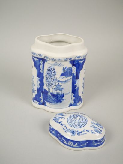 Porcelain tea pot with blue-white decoration...