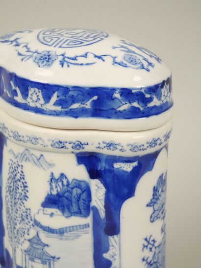Porcelain tea pot with blue-white decoration...