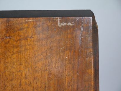 Set of two decorative panels in natural wood,...