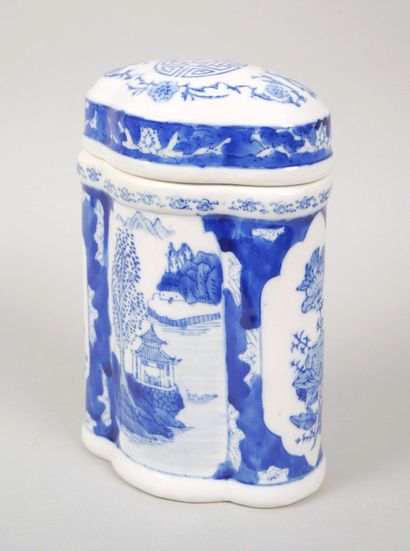 Porcelain tea pot with blue-white decoration...