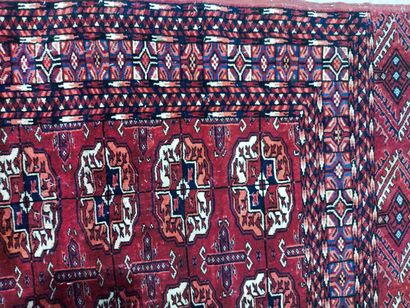 Bukhara Tekké carpet (warp, weft and wool...