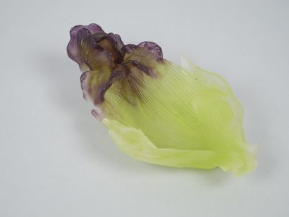 DAUM FRANCE 
Glass paste bowl with iris design...