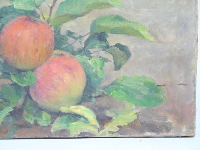Modern School
Apples
Oil on canvas signed...