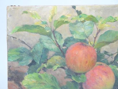 Modern School
Apples
Oil on canvas signed...
