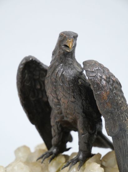 Modern school
Eagle 
Subject in brown patina...