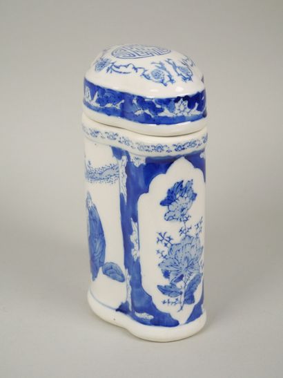 Porcelain tea pot with blue-white decoration...