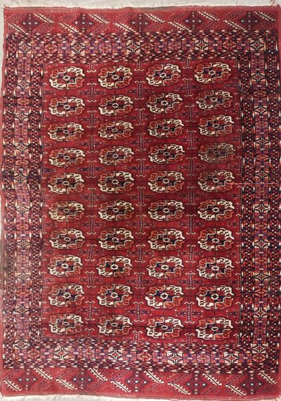 Bukhara Tekké carpet (warp, weft and wool...