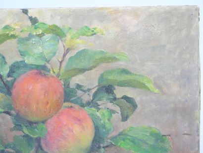 Modern School
Apples
Oil on canvas signed...