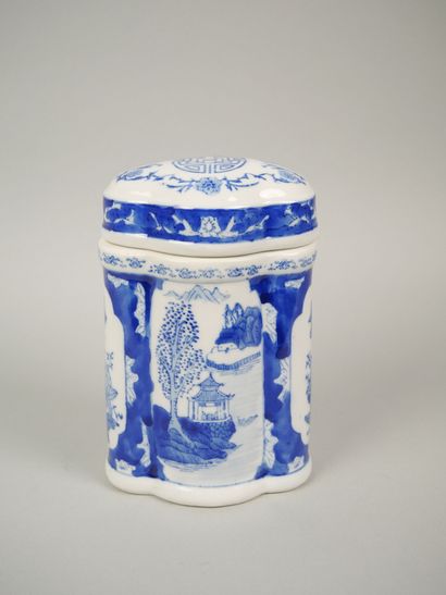 Porcelain tea pot with blue-white decoration...