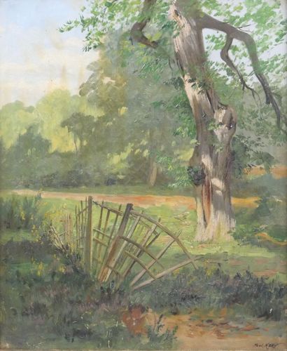 Paul MERY (1858-1921) 
The old tree and the...